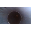 Image 5 : Mossberg Riot Gun