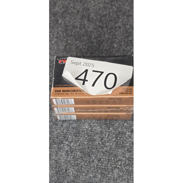 308 Ammo