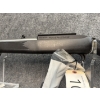 Image 6 : Ruger 10/22 Stainless