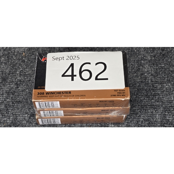 308 Ammo