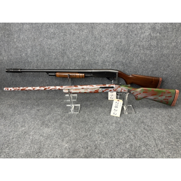 *NEW ENTRY* 2 Gun Lot