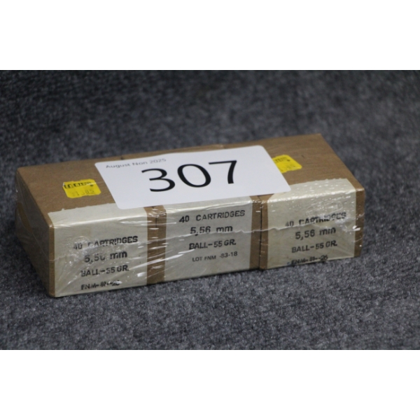 223 Ammo