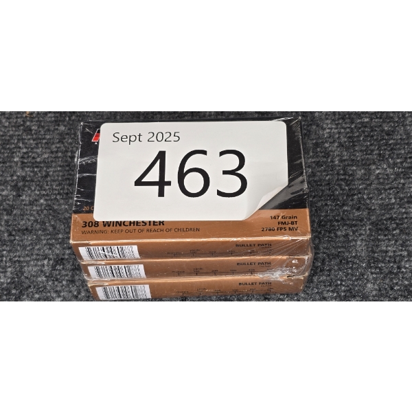 308 Ammo