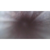 Image 9 : Browning BAR