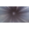Image 9 : Browning BAR 22