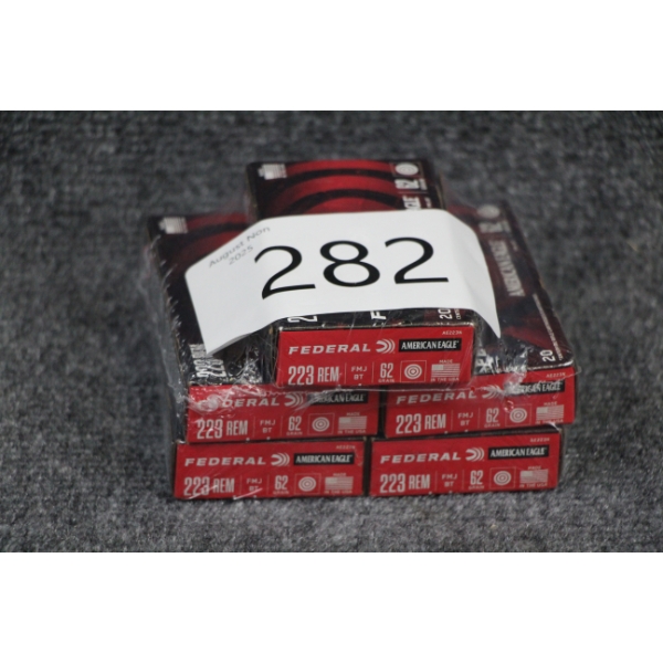 223 Ammo
