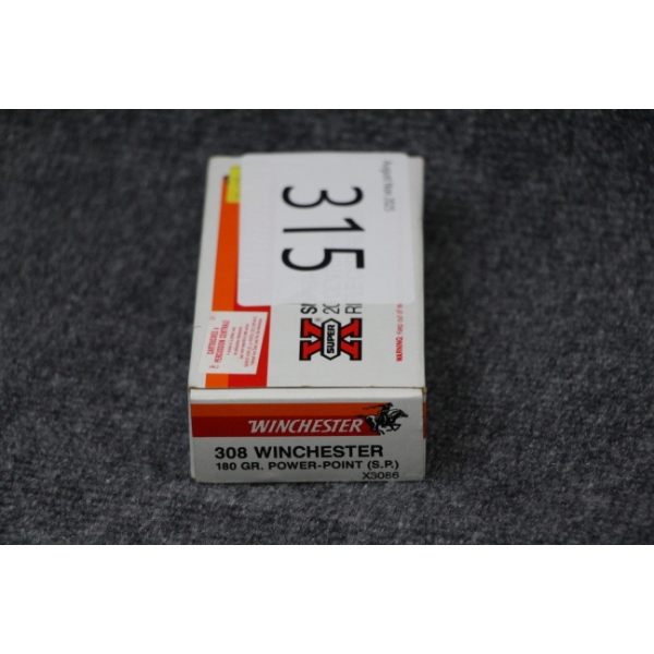 308 Ammo 
