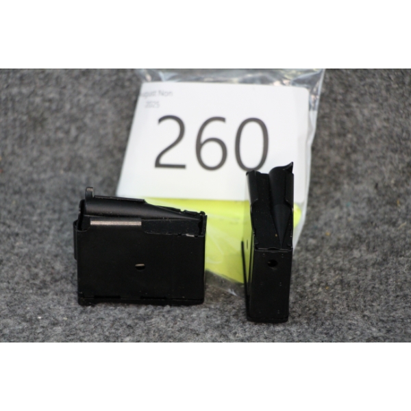 Ruger Mini 30 Mags