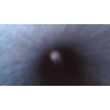 Image 10 : Winchester 101 Skeet
