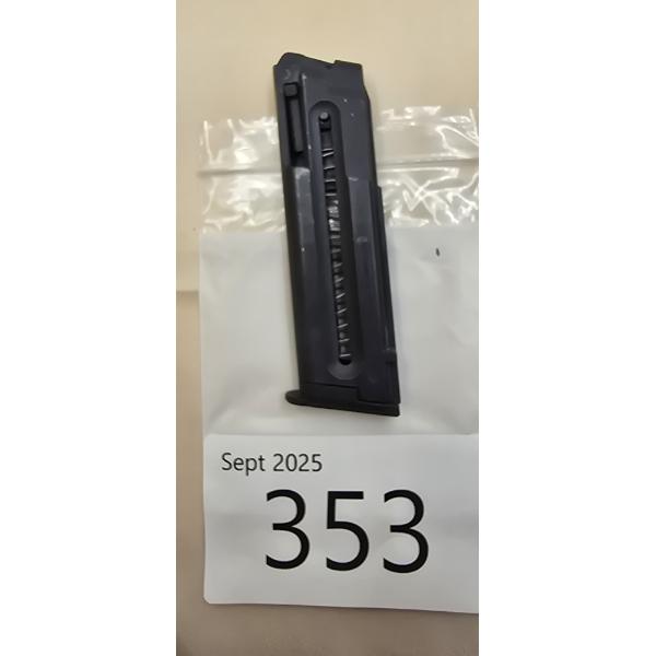 GSG 1911 or Sig Sauer 1911 22 Mag