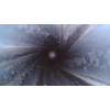Image 9 : Mosin Nagant