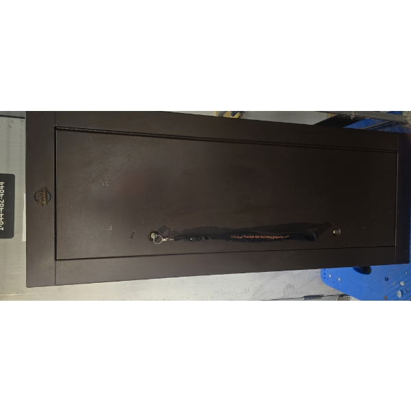 Condor Gun Safe