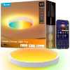Image 1 : GOVEE SMART CEILING LIGHT PRO, 4300LM 15 INCH, RGBIC 2700K-6500K 1 PACK -N