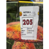 Image 3 : AURORA LIGHTING SOLAR MOSAIC LIGHT MUSHROOM -U