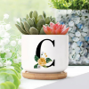 Image 1 : SET OF 2 CUSTOM MONOGRAM SUCCULENT PLANTERS FOR INDOOR
