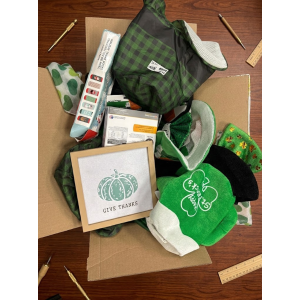 ASSORTED ST. PATRICK DAY COSTUMES (NEW)