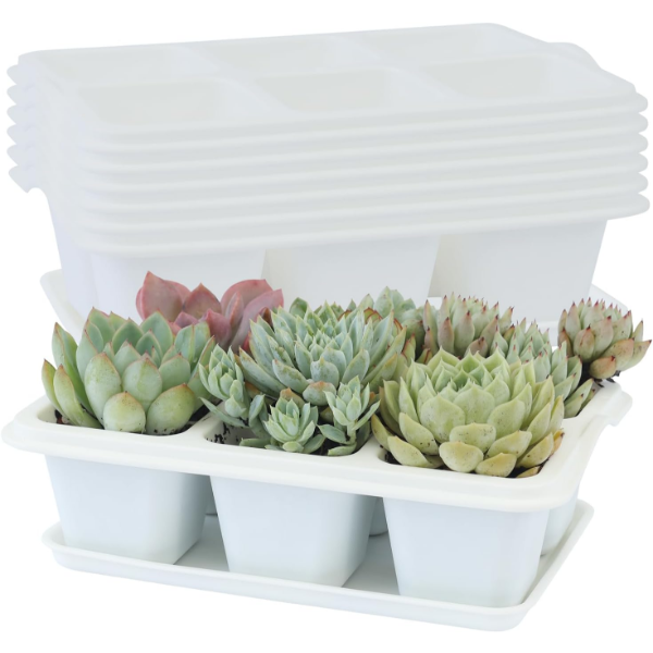 OLIZ SUCCULENT POTS, 8 PCS MINI FLOWER PLANT CONTAINERS