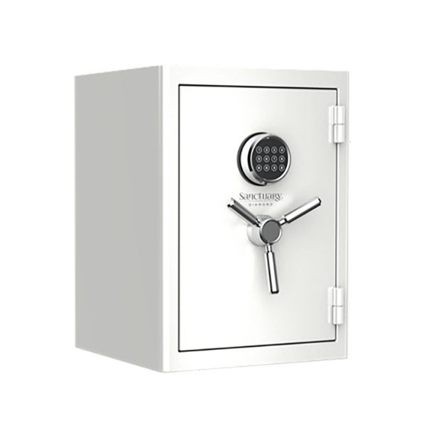 SANCTUARY HOME OFFICE SAFE 1 69 CU FT -N