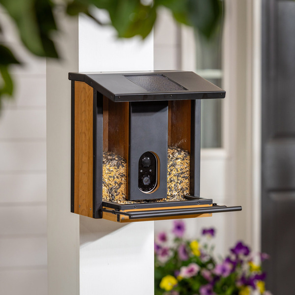 EVERGREEN SMART BIRD FEEDER WITH SOLAR CAMERA -SUMP