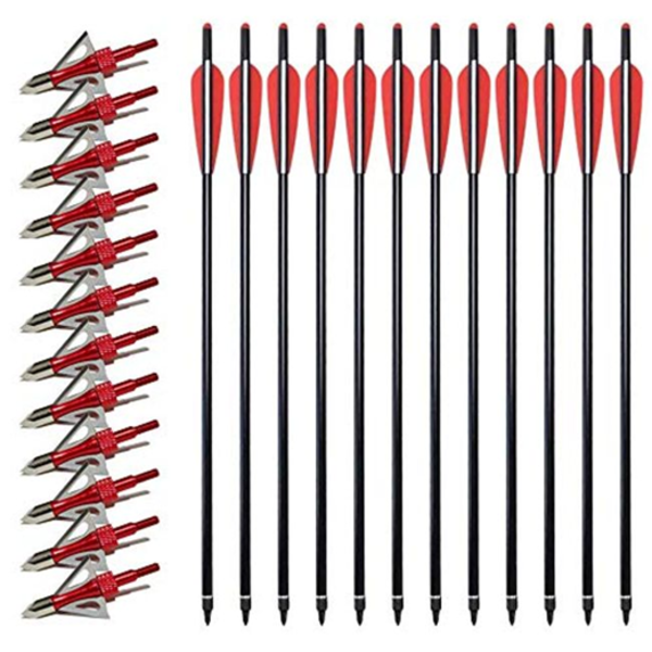 CARBON ARROWS TARGETING PRACTICE HUNTING ARROWS (10 PCS ONLY)