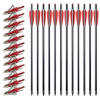 Image 1 : CARBON ARROWS TARGETING PRACTICE HUNTING ARROWS (10 PCS ONLY)
