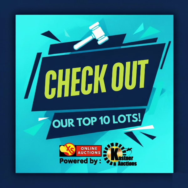 CHECK OUT OUR TOP 10 LOTS