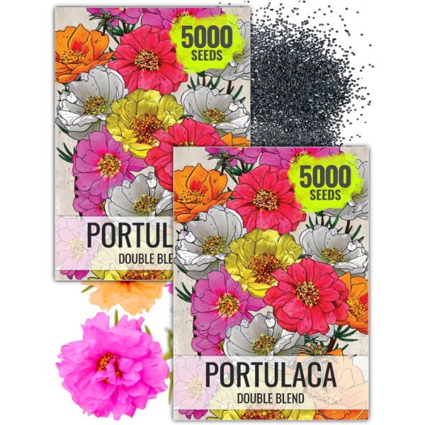 SEED NEEDS MOSS ROSE SEEDS FOR PLANTING PORTULACA GROUNDCOVER