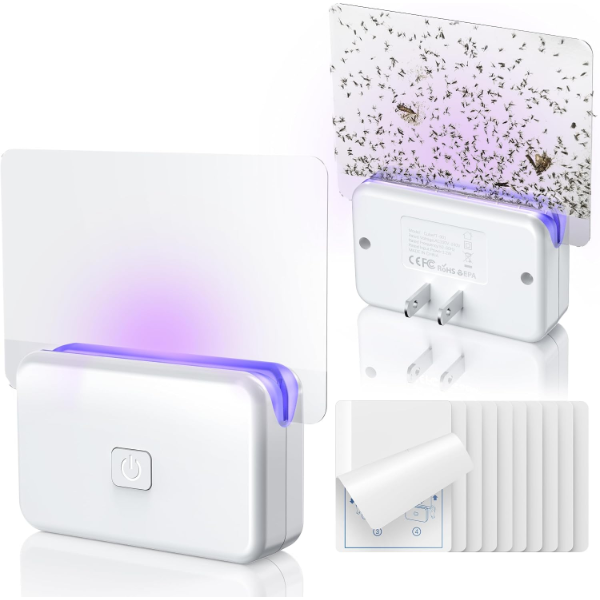 LFSYS FRUIT FLY TRAPS FOR HOUSE INDOORS GNATS -N