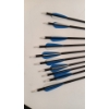 Image 2 : CARBON ARROWS TARGETING PRACTICE HUNTING ARROWS (10 PCS)