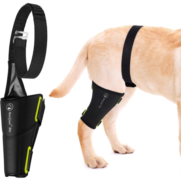  -NDOG KNEE BRACE PRO, FOR DOGS ACL, LUXATING PATELLA, HIP BRACE FOR BACK LEG -N