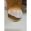 Image 3 : CHRISTMAS SHIBA DOG GREETER (USED, MISSING PARTS, TIP OF LEFT FOOT BROKEN)