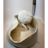 Image 2 : SOUTH PAW MULTI–FUNCTIONAL CAT TUNNEL AND BED -SU