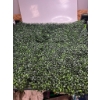 Image 2 : Artificial Green Boxwood Square Panel Mats