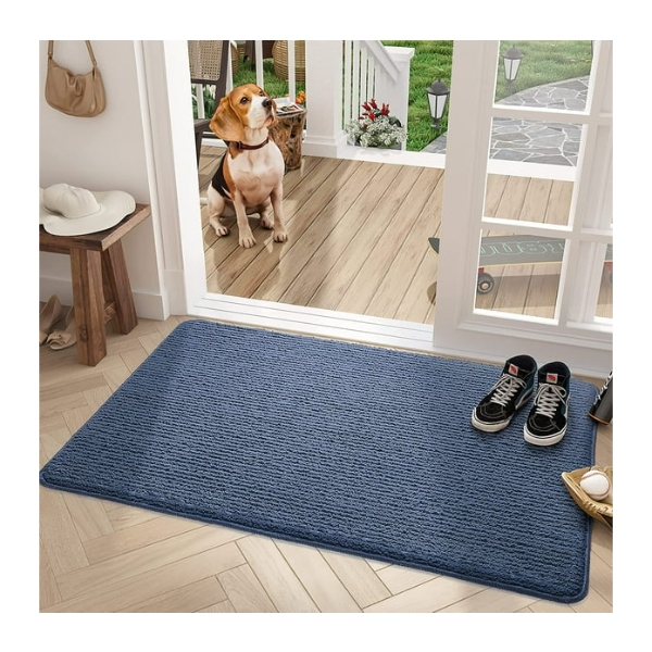Color G Indoor Door Mat