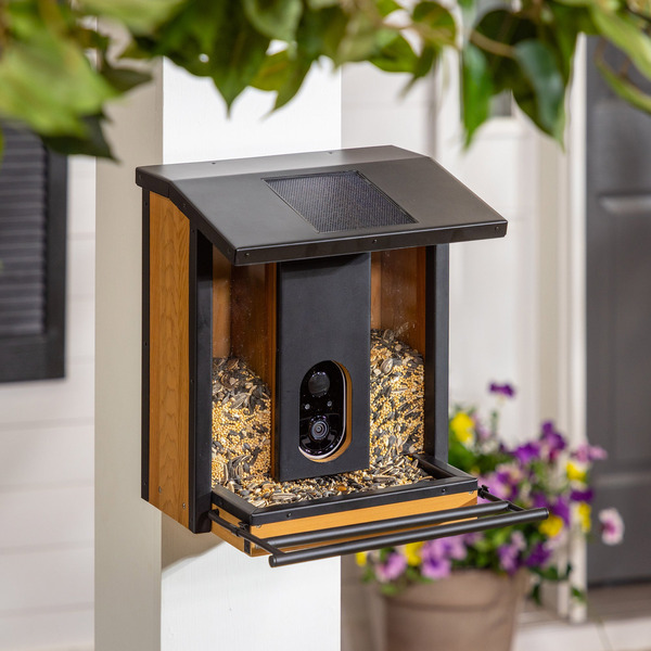  EVERGREEN SMART BIRD FEEDER WITH SOLAR CAMERA -N