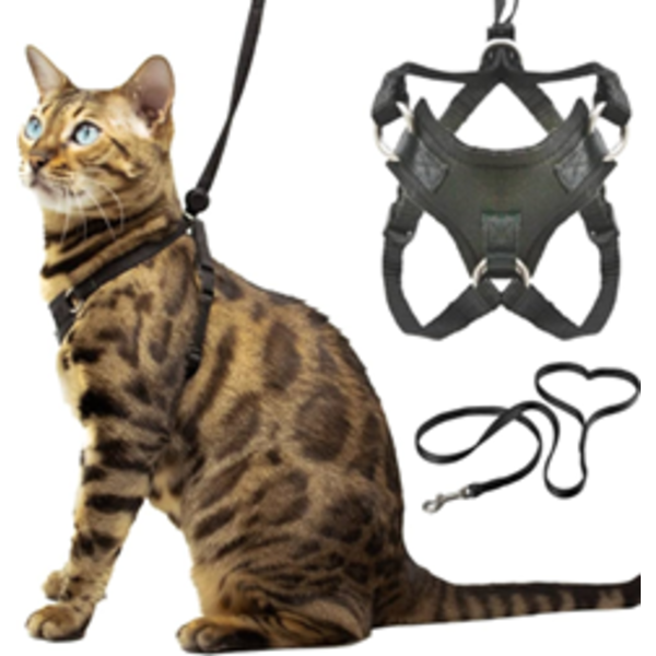 HOUDINI™ ESCAPE PROOF CAT HARNESS AND LEASH SET BY OUTDOOR BENGAL FOR WALKING CATS (M)