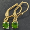 Image 1 : GOLD PLATED SIL CROME TOURMALINE(0.9CT) EARRINGS