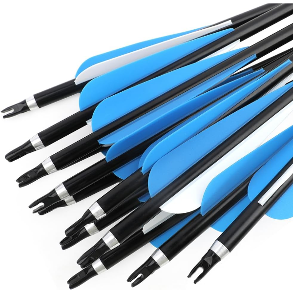 CARBON ARROWS TARGETING PRACTICE HUNTING ARROWS (10 PCS)
