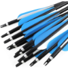 Image 1 : CARBON ARROWS TARGETING PRACTICE HUNTING ARROWS (10 PCS)