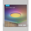 Image 2 : GOVEE SMART CEILING LIGHT PRO, 4300LM 15 INCH, RGBIC 2700K-6500K 1 PACK -N