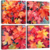 Image 1 : AUTUMN MAPLE LEAF CANVAS WALL ART PICTURES, WATERCOLOR NATURE PAINTINGS.