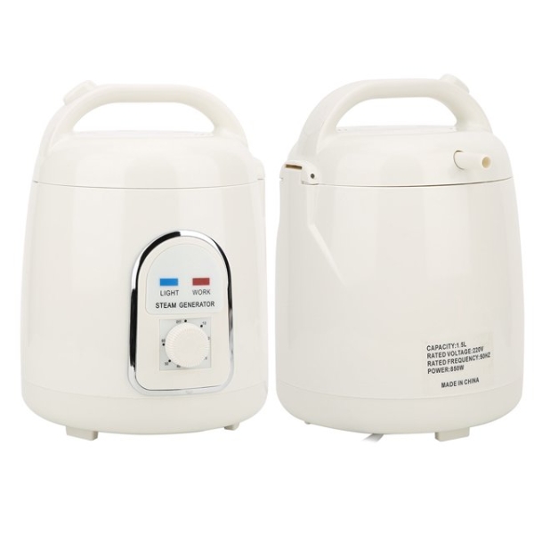 HOMEDICS STEAM GENERATOR (SLIGHTLY USED)