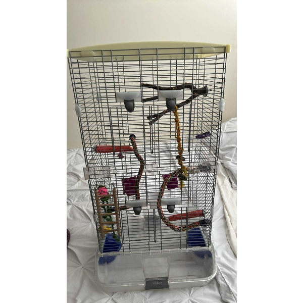 Bird Cage