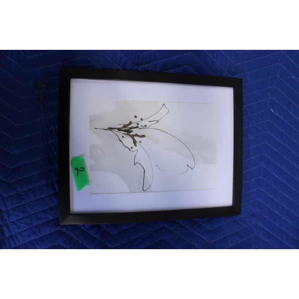 Framed Print of Flower