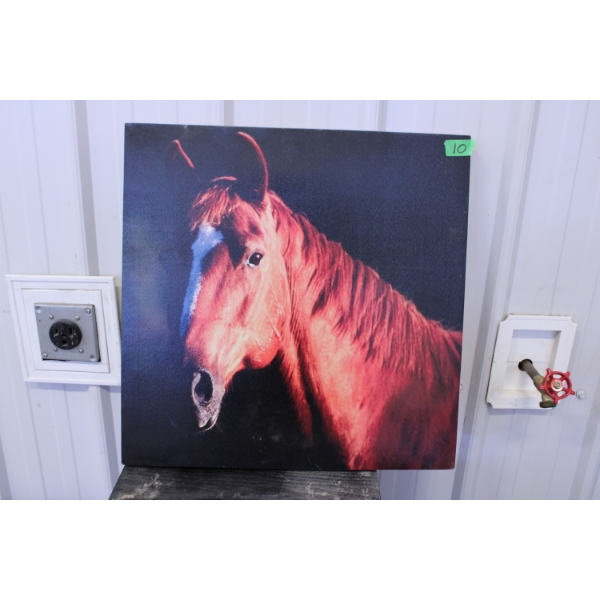 Print of Horse on Canvas
