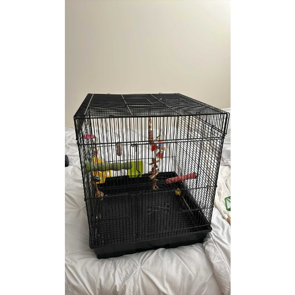 Bird Cage