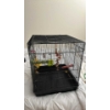 Image 1 : Bird Cage