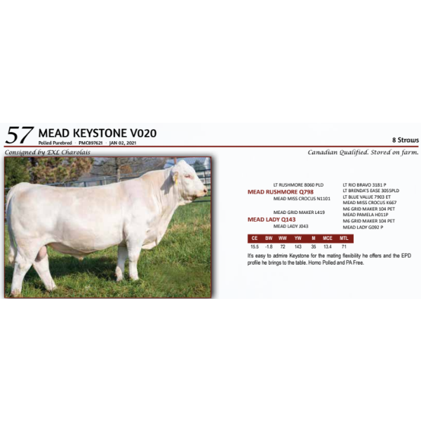  MEAD KEYSTONE V020 - 8 Straws