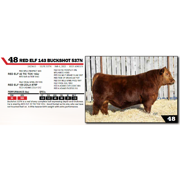 RED ELF 143 BUCKSHOT 537N