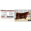 Image 1 : RED ELF 143 BUCKSHOT 537N